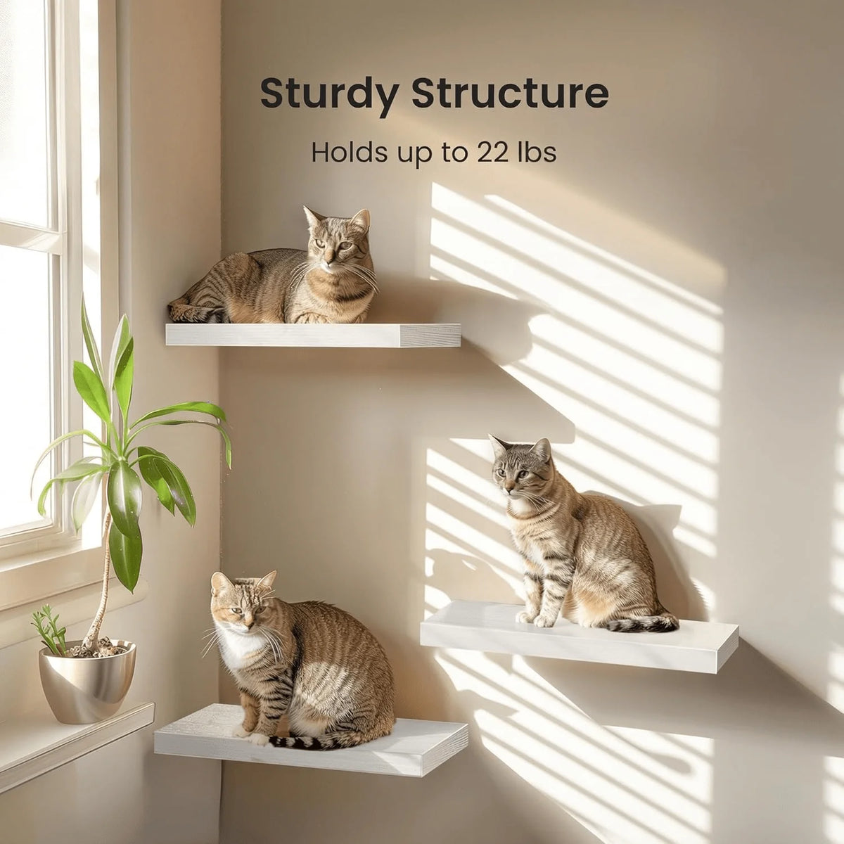 Floating Shelving Unit For Home Goods